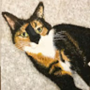 Meet your Posher, Jackie